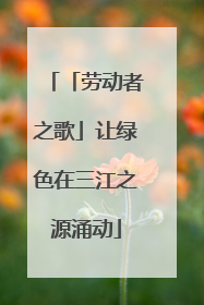 「劳动者之歌」让绿色在三江之源涌动