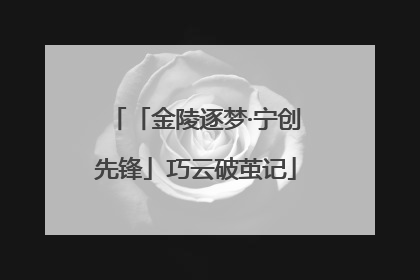 「金陵逐梦·宁创先锋」巧云破茧记