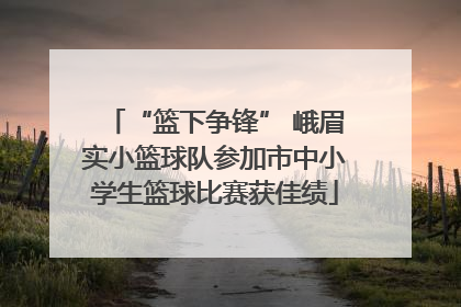 “篮下争锋” 峨眉实小篮球队参加市中小学生篮球比赛获佳绩