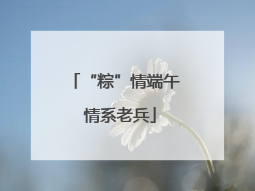 “粽”情端午 情系老兵