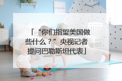 “你们指望美国做些什么？”央视记者提问巴勒斯坦代表