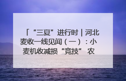“三夏”进行时｜河北麦收一线见闻（一）：小麦机收减损“竞技” 农机高手麦田“过招”