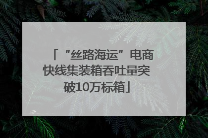 “丝路海运”电商快线集装箱吞吐量突破10万标箱