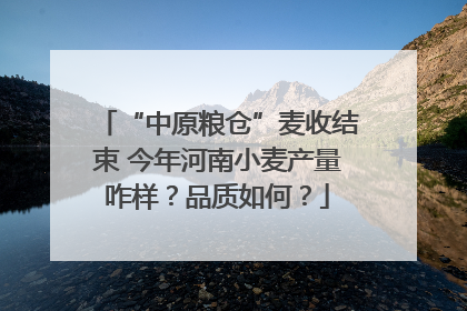“中原粮仓”麦收结束 今年河南小麦产量咋样？品质如何？