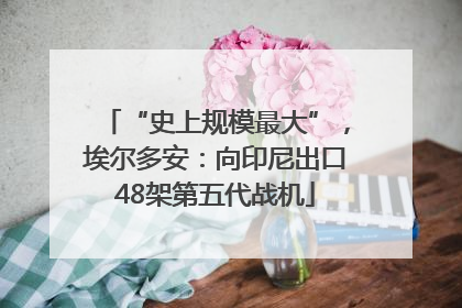 “史上规模最大”，埃尔多安：向印尼出口48架第五代战机