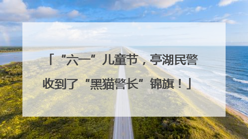 “六一”儿童节，亭湖民警收到了“黑猫警长”锦旗！