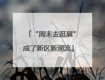 “周末去逛展”成了新区新潮流