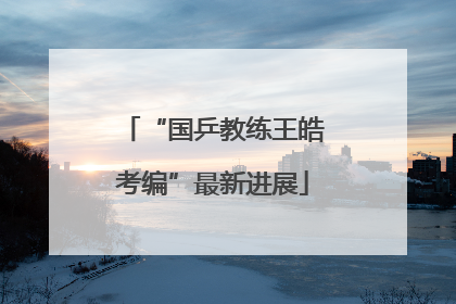 “国乒教练王皓考编”最新进展