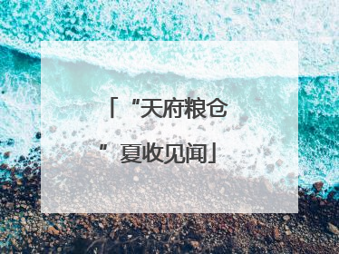 “天府粮仓”夏收见闻