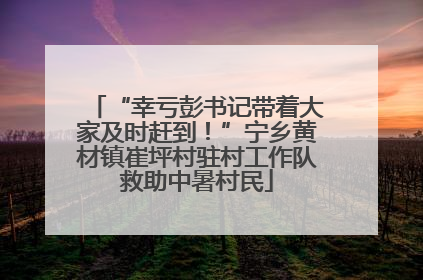 “幸亏彭书记带着大家及时赶到！”宁乡黄材镇崔坪村驻村工作队救助中暑村民