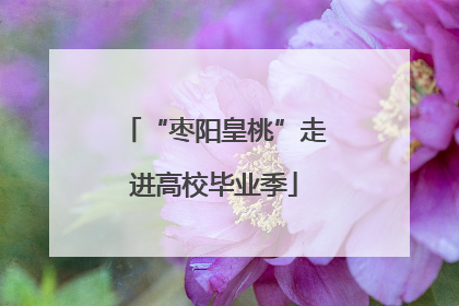 “枣阳皇桃”走进高校毕业季