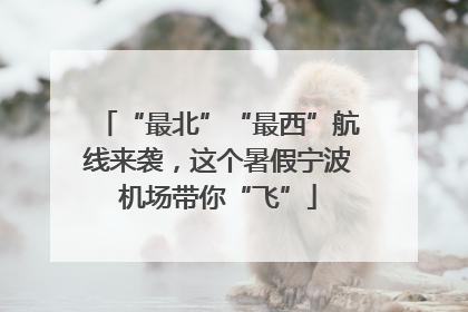 “最北”“最西”航线来袭，这个暑假宁波机场带你“飞”