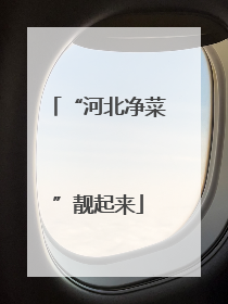 “河北净菜”靓起来