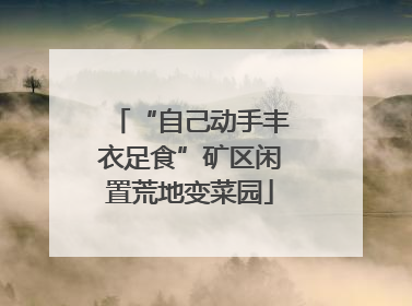 “自己动手丰衣足食”矿区闲置荒地变菜园
