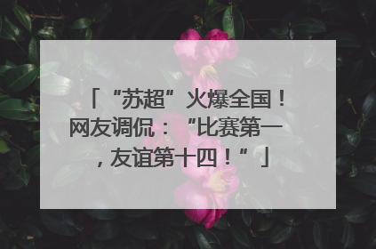“苏超”火爆全国！网友调侃：“比赛第一，友谊第十四！”