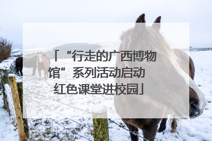 “行走的广西博物馆”系列活动启动 红色课堂进校园