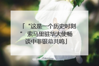 “这是一个历史时刻” 索马里驻华大使畅谈中非银幕共鸣