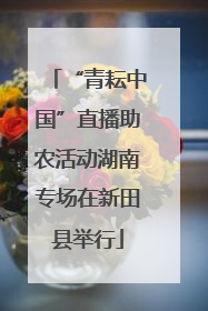 “青耘中国”直播助农活动湖南专场在新田县举行