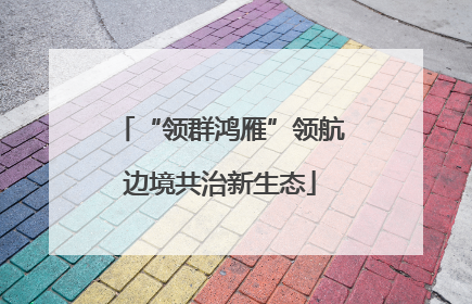 “领群鸿雁”领航边境共治新生态