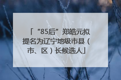 “85后”郑皓元拟提名为辽宁地级市县（市、区）长候选人