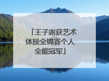王子露获艺术体操全锦赛个人全能冠军