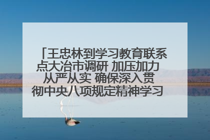 王忠林到学习教育联系点大冶市调研 加压加力 从严从实 确保深入贯彻中央八项规定精神学习教育取得实效