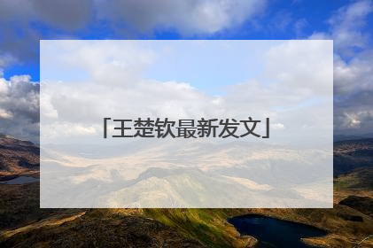 王楚钦最新发文