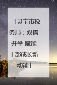 灵宝市税务局：双措并举 赋能干部成长新动能