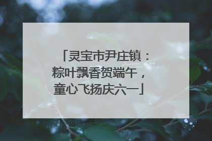 灵宝市尹庄镇：粽叶飘香贺端午，童心飞扬庆六一