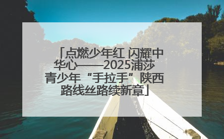 点燃少年红 闪耀中华心——2025浦莎青少年“手拉手”陕西路线丝路续新章