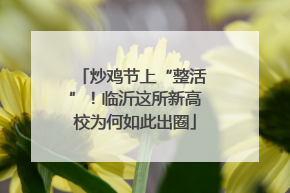 炒鸡节上“整活”！临沂这所新高校为何如此出圈