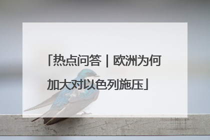 热点问答｜欧洲为何加大对以色列施压