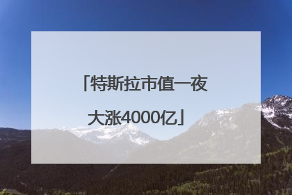 特斯拉市值一夜大涨4000亿