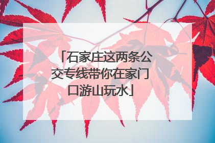 石家庄这两条公交专线带你在家门口游山玩水