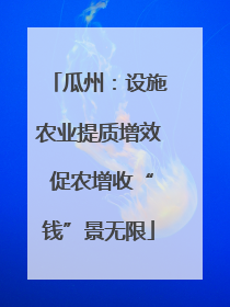 瓜州：设施农业提质增效 促农增收“钱”景无限