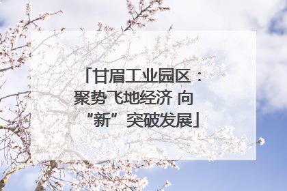 甘眉工业园区：聚势飞地经济 向“新”突破发展