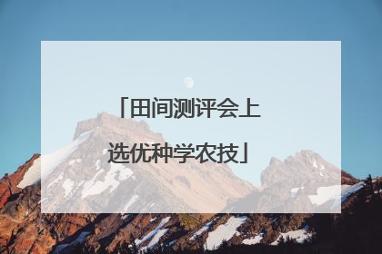 田间测评会上选优种学农技