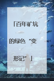 百年矿坑的绿色“变形记”