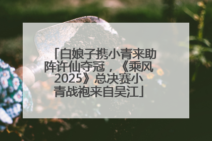 白娘子携小青来助阵许仙夺冠，《乘风2025》总决赛小青战袍来自吴江