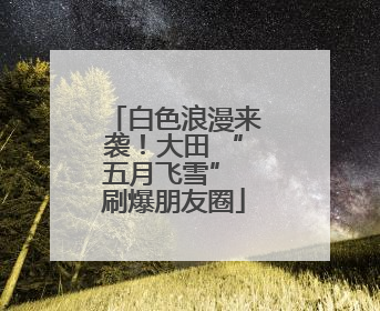 白色浪漫来袭！大田 “五月飞雪” 刷爆朋友圈