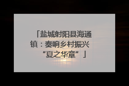 盐城射阳县海通镇：奏响乡村振兴“夏之华章”