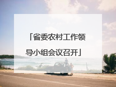 省委农村工作领导小组会议召开