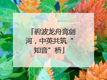碧波龙舟竞剑河，中英共筑“知音”桥