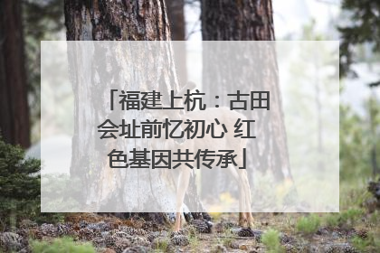 福建上杭：古田会址前忆初心 红色基因共传承