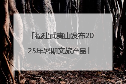 福建武夷山发布2025年暑期文旅产品