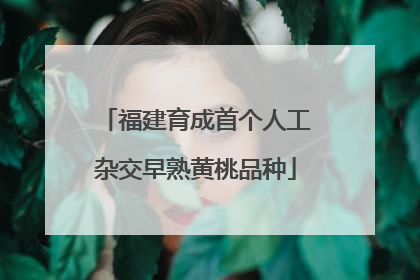 福建育成首个人工杂交早熟黄桃品种