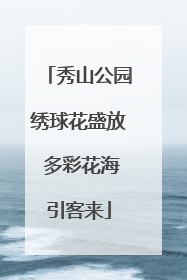 秀山公园绣球花盛放 多彩花海引客来