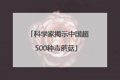 科学家揭示中国超500种毒蘑菇
