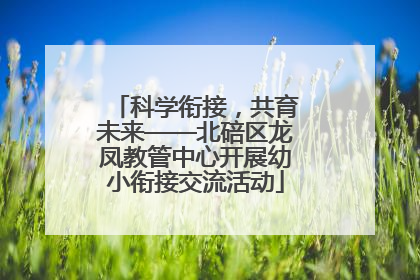 科学衔接，共育未来——北碚区龙凤教管中心开展幼小衔接交流活动