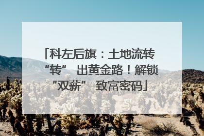 科左后旗：土地流转 “转” 出黄金路！解锁 “双薪” 致富密码